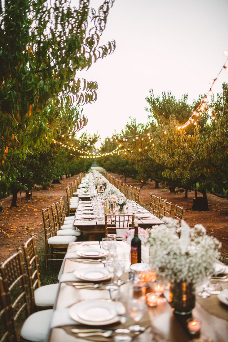 A Cozy Wedding in The Peach Orchard | Photography : marymargaretsmith.com | https://www.fabmood.com/a-cozy-fall-wedding-in-the-peach-orchard #peach #fallwedding