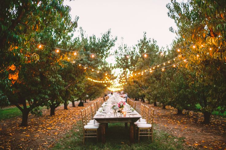 A Cozy Wedding Reception in The Peach Orchard | Photography : marymargaretsmith.com | https://www.fabmood.com/a-cozy-fall-wedding-in-the-peach-orchard #peach #fallwedding