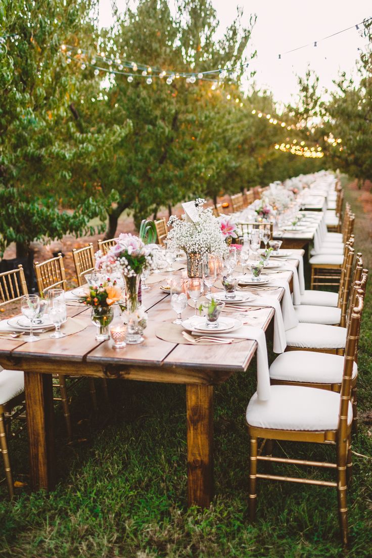 Long wedding table in The Peach Orchard | Photography : marymargaretsmith.com | https://www.fabmood.com/a-cozy-fall-wedding-in-the-peach-orchard #reception #fallwedding