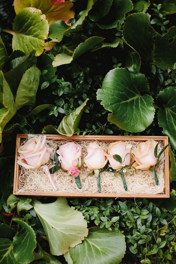 Blush Roses boutonnieres for garden wedding | fabmood.com #boutonnieres #blushwedding #gardenwedding