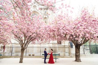 Romantic Springtime Pre Wedding in Paris Full of Cherry Blossoms | fabmood.com #wedding #spring #engagementsession #parisengagement #cherryblossom #engaged #weddingphotos #springwedding