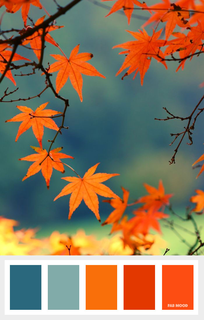 Shades of orange + Burnt orange and Teal Autumn Color Palette | fab mood - color palettes