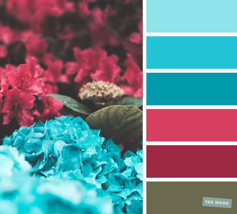 Dark Pink and Blue hydrangea Color Scheme #color #colorscheme #colorpalette