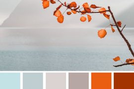 Burnt orange light blue and grey color palette #colors #autumn #autumncolour