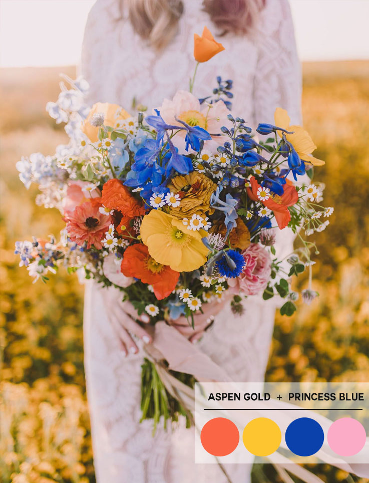 Aspen Gold + Princess Blue + Sweet lilac & Living Coral