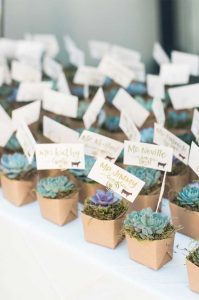 Cactus wedding favors - Perfect summer wedding favor & green wedding ideas