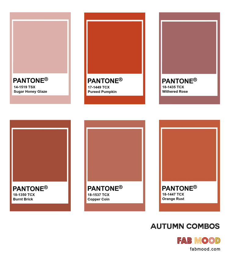 Rust Color Combinations For Autumn Wedding What Color Looks Best With Rust