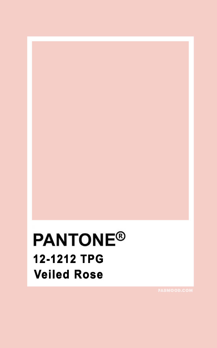 Pantone Veiled Rose 12-1212