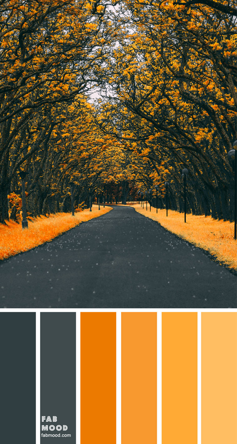 Color Inspiration : Charcoal and Yellow Mustard – Color Palette #34