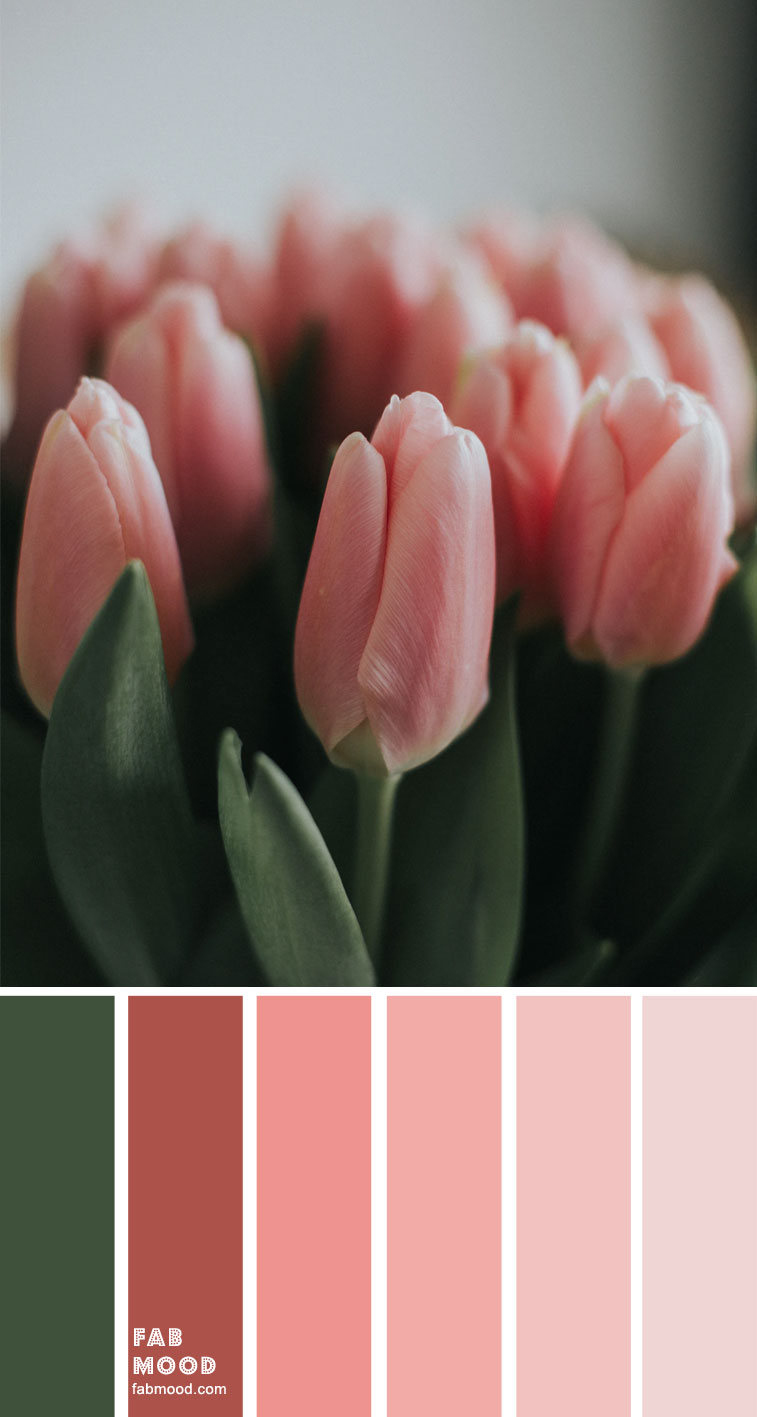 color inspiration, color palette, mood board, color palette , green and pink #green #pink #salmonpink #colorpalette #color 