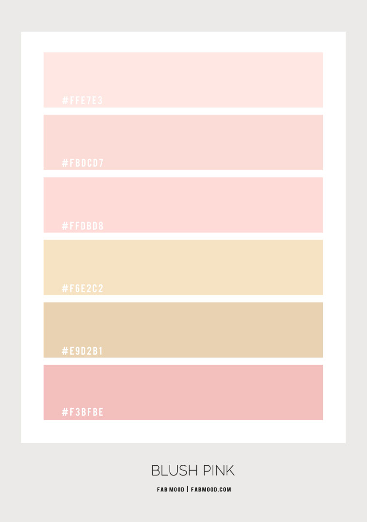 Blush And Gold Color Palette