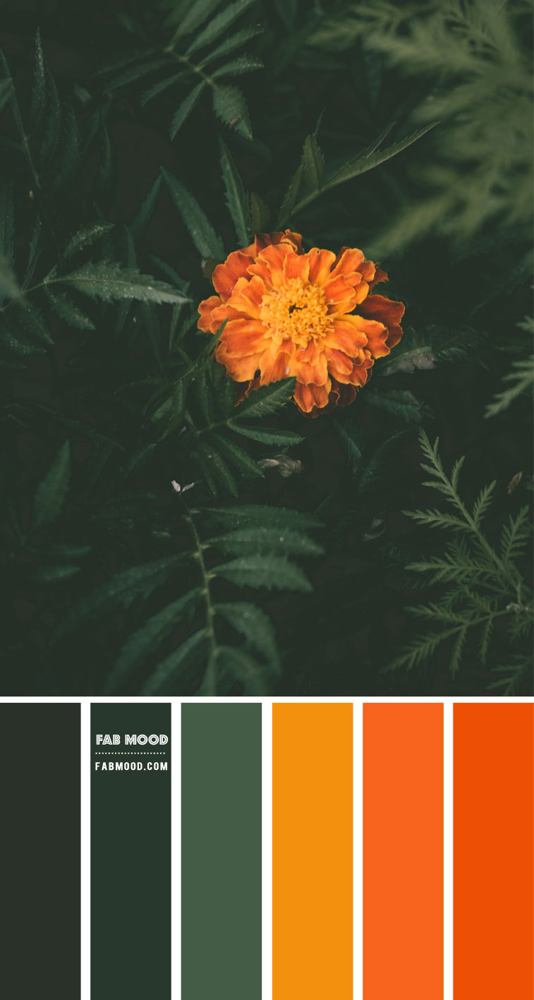 forest green and orange color scheme, forest green and burnt orange color combo, burnt orange color combinations, green forest and mustard color scheme