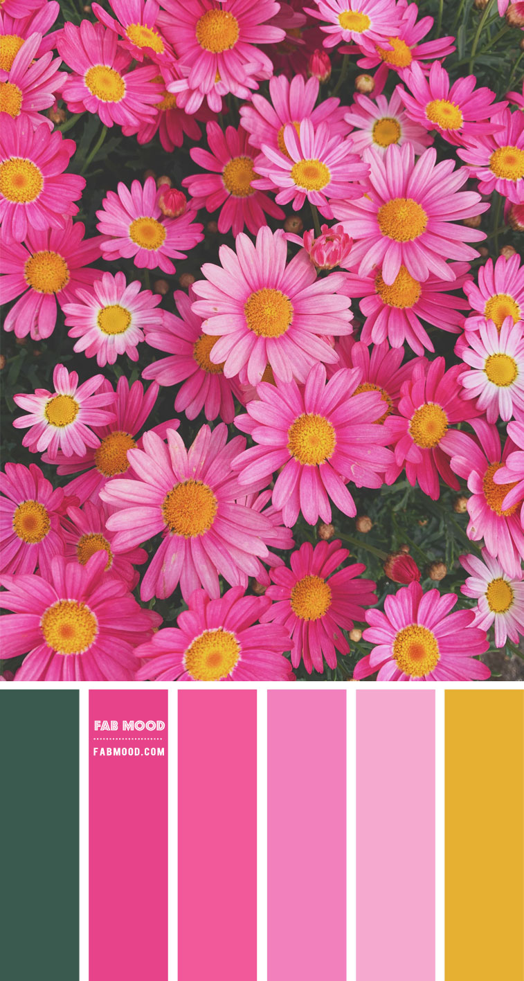 Pink and yellow color scheme – color combo #36 1 - Fab Mood