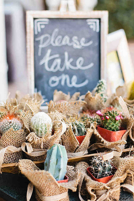 cactus wedding favors, personalized wedding favors, useful wedding favors, wedding favorsdiy, best wedding favors i ever got, elegant wedding favors, best wedding favors, wedding favours boxes, best wedding favors 2020