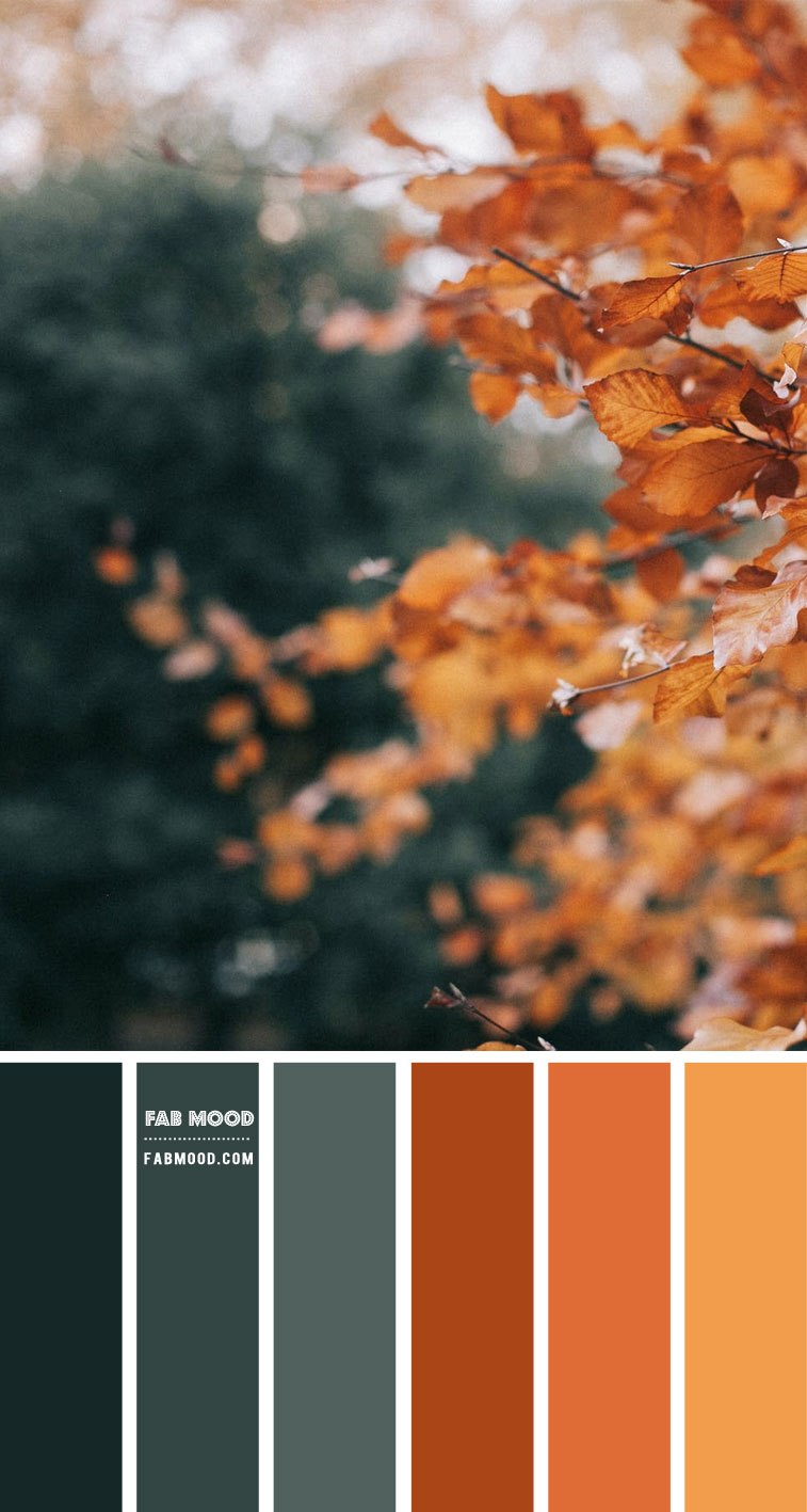 autumn color palette, autumn color shades, autumn leaves colors , brown and green colour palette, brown green and orange autumn color palette, brown green and orange color scheme