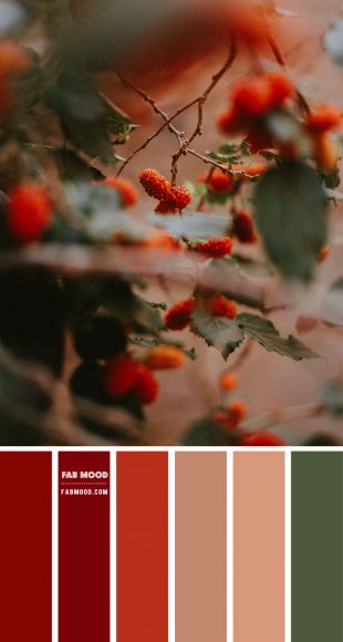 Orange Red Berries – #Colour Palette 112 1 - Fab Mood | Wedding Colours ...