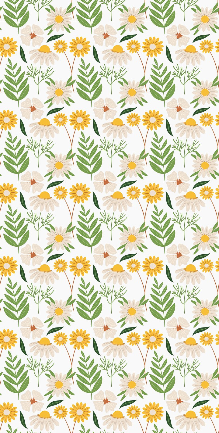 Daisy wallpapers that perfect for Spring