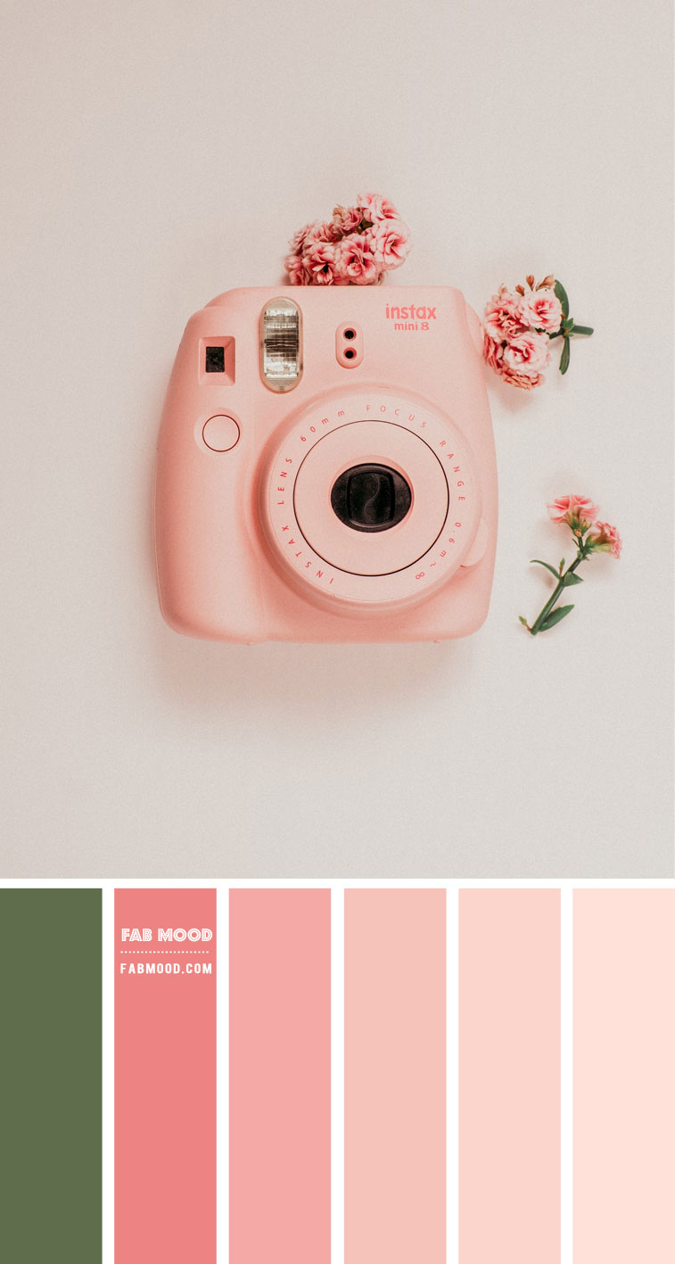 peach and salmon pink color scheme, peach and salmon pink colour combo, peach and salmon pink color palette