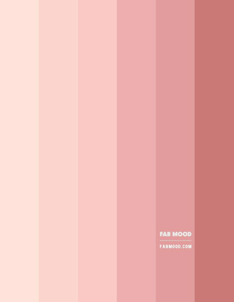 peach and salmon pink color scheme, peach and salmon pink colour combo, peach and salmon pink gradient color