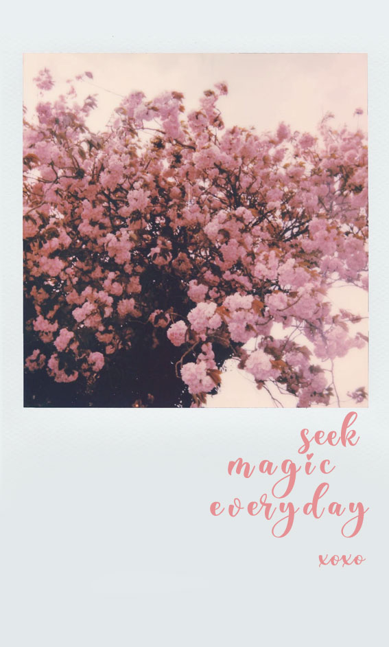 seek magic everyday, spring quote, spring aesthetic wallpaper, spring aesthetic , pink aesthetic wallpaper, spring wallpaper, cute wallpaper, iphone wallpaper, flower aesthetic, spring screensaver , spring background, spring iphone background