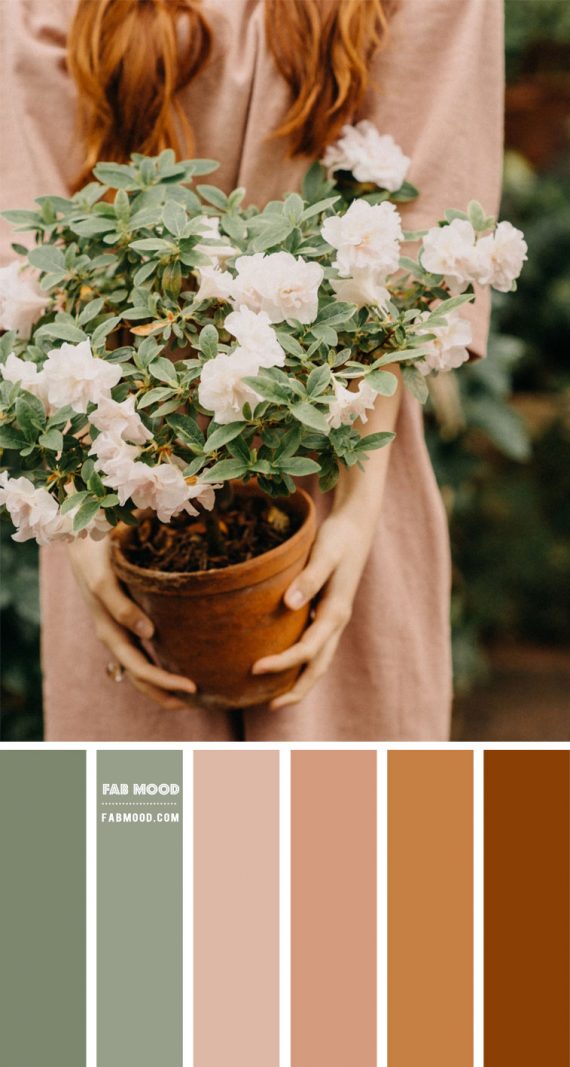 Brown and Sage Colour Palette | sage and brown color scheme