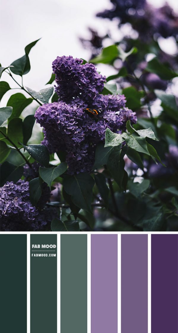 Green and Purple Colour Combination | Green and Purple Together
