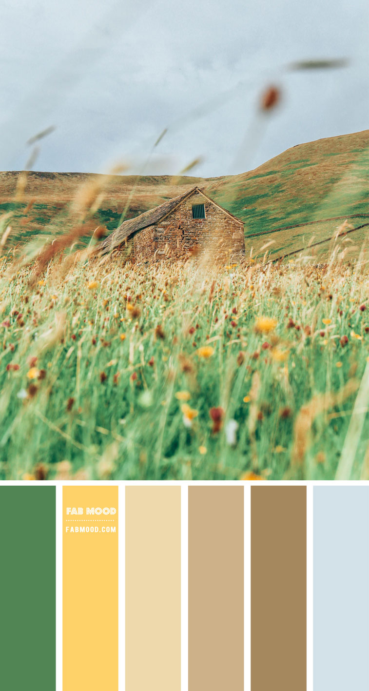 Brown, Green and Yellow Colour Combo – Colour Palette 142