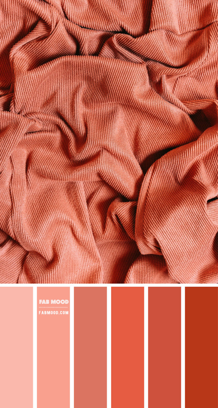orange peach color scheme, shades of orange peach, terracotta color