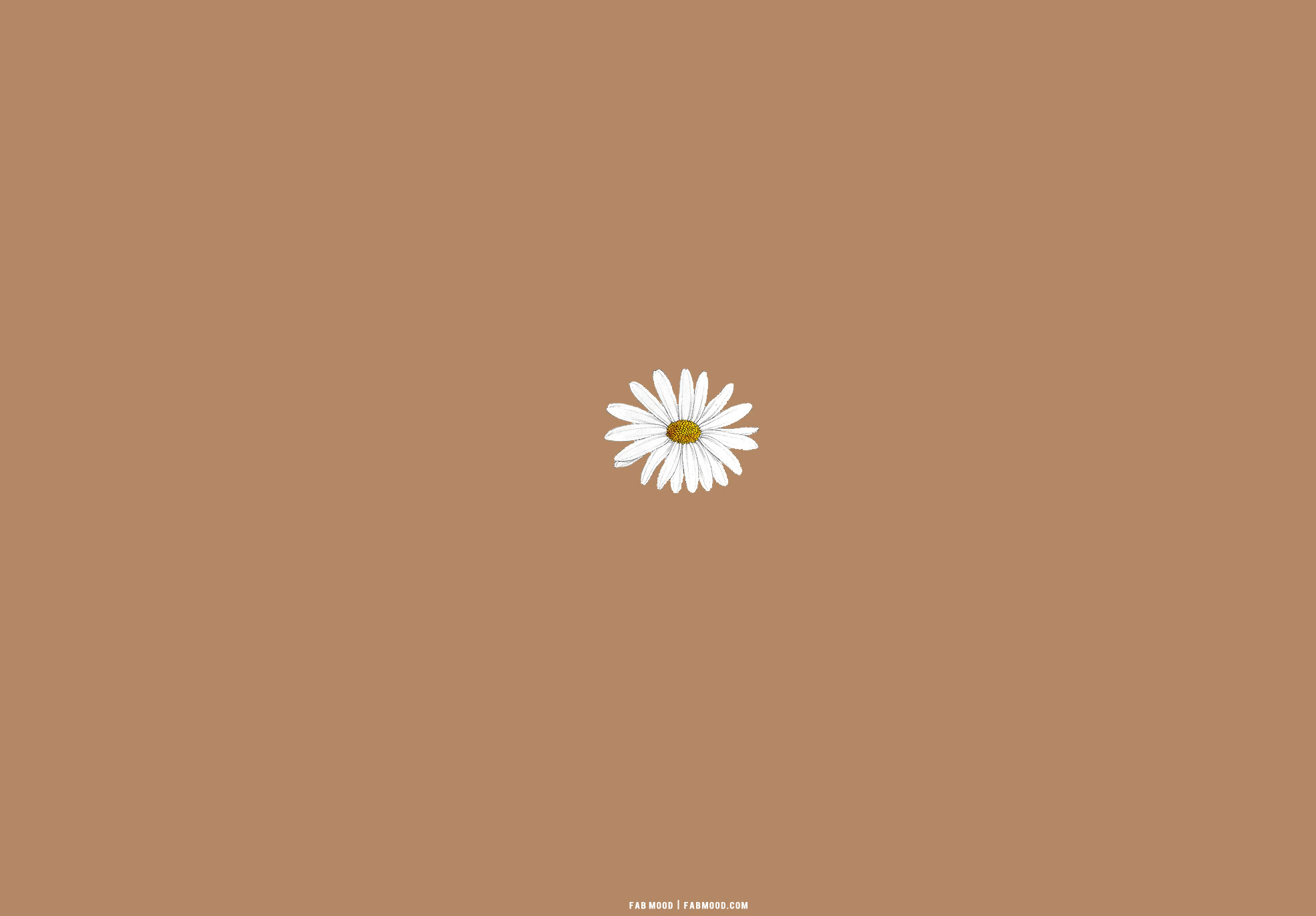 25 Brown Aesthetic Wallpaper for Laptop : Daisy