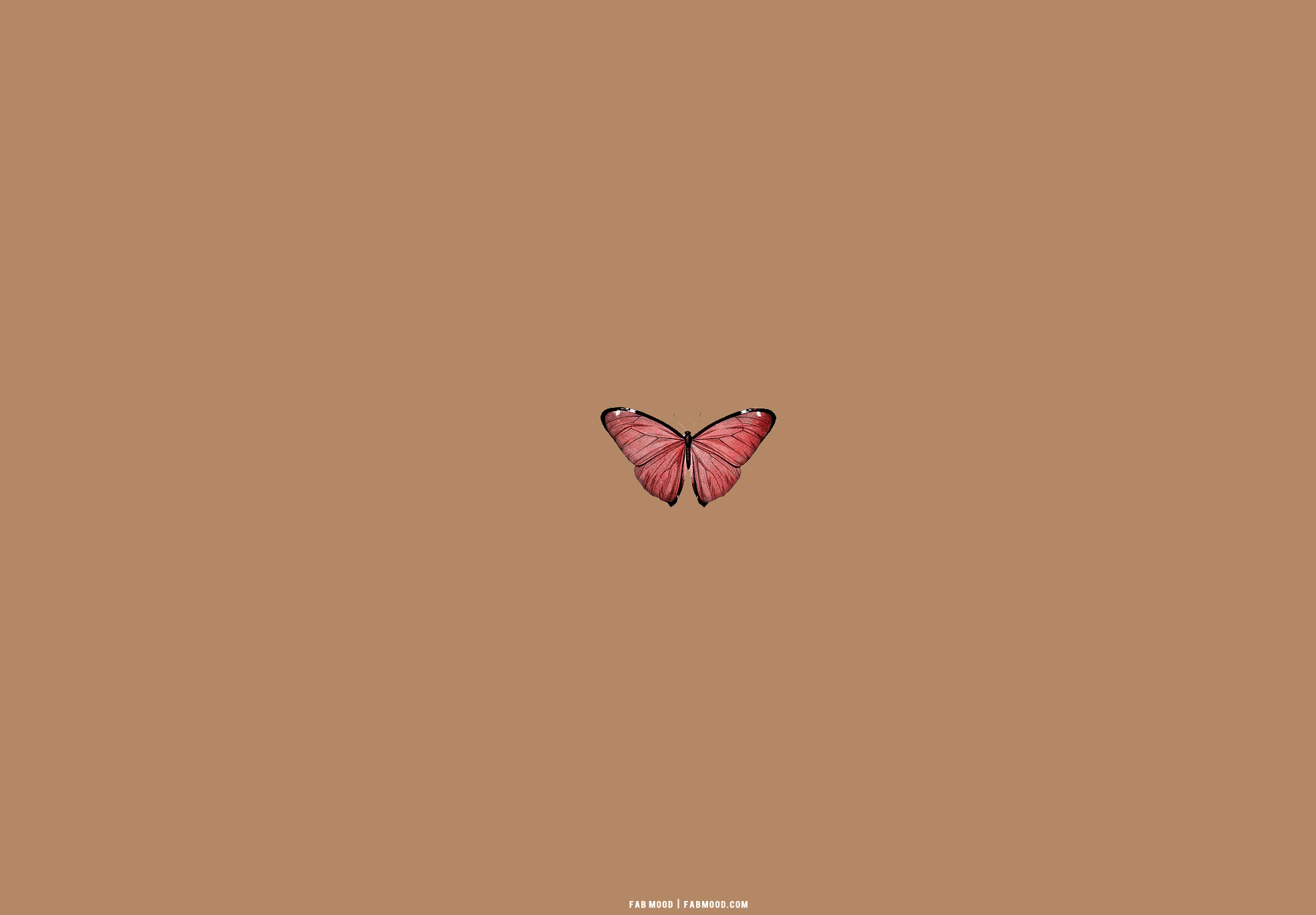 25 Brown Aesthetic Wallpaper for Laptop : Red Butterfly Brown Aesthetic