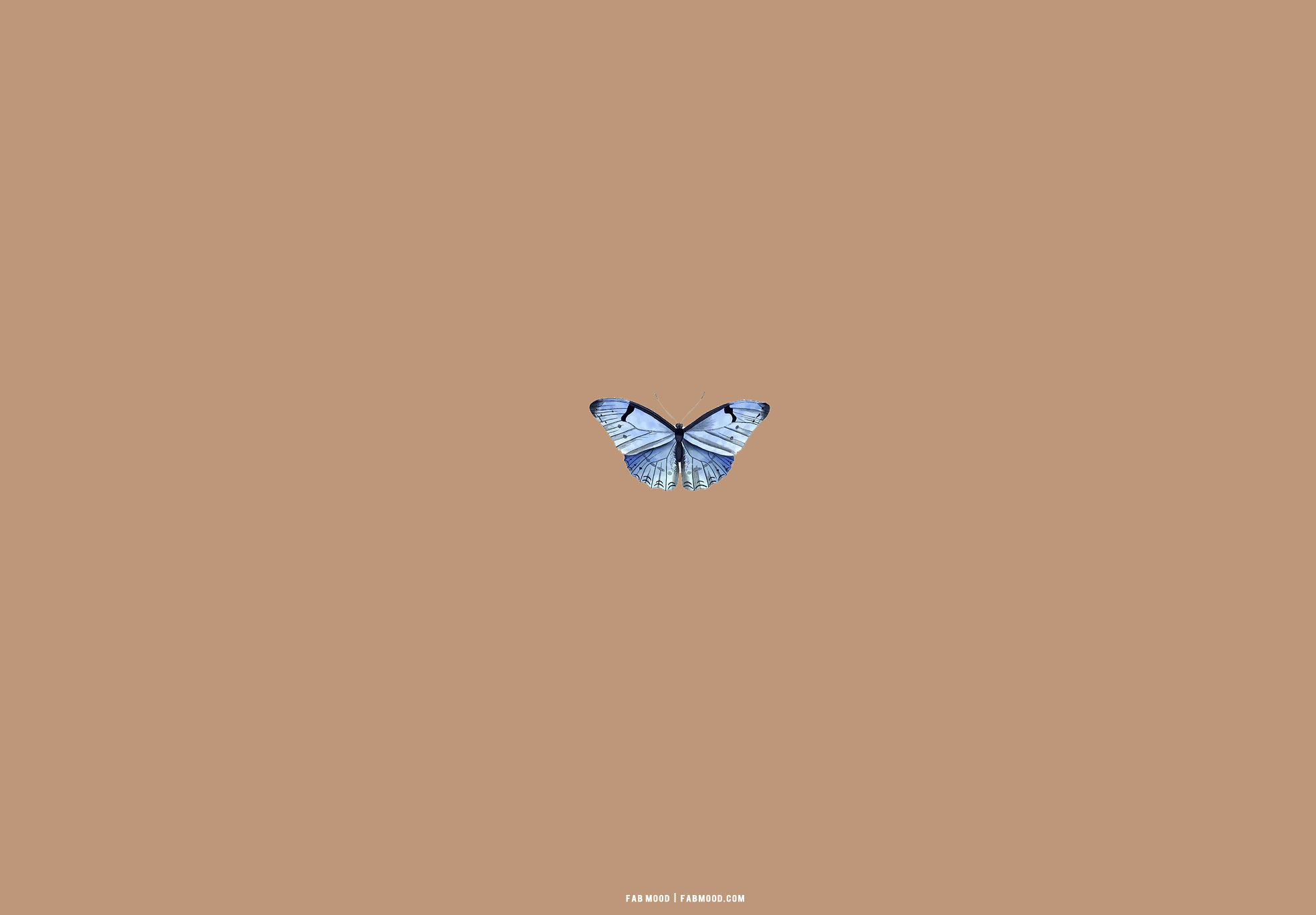 25 Brown Aesthetic Wallpaper for Laptop : Blue Butterfly Aesthetic Background