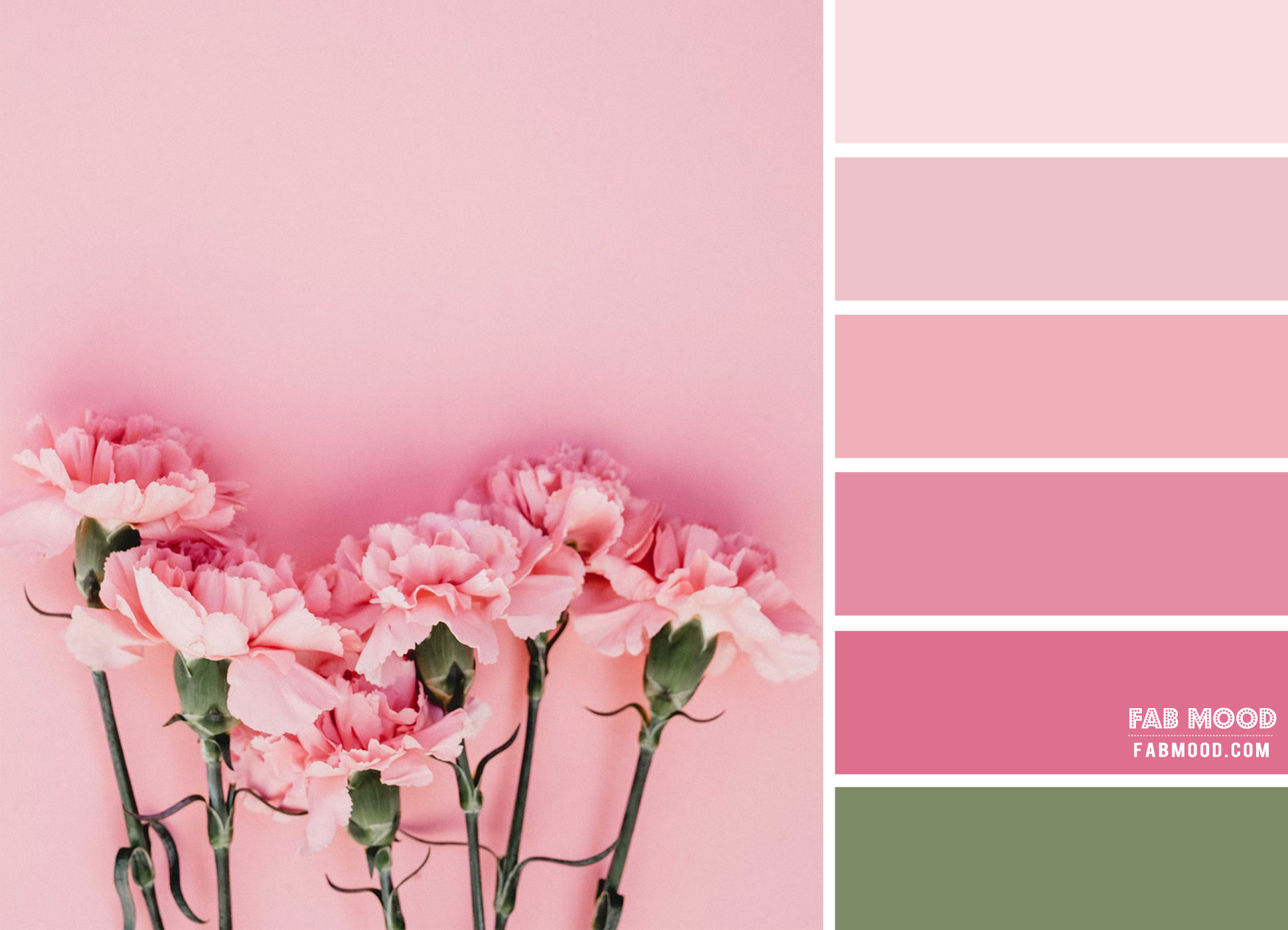 Pink and Sage Colour Combo : Colour Palette #156