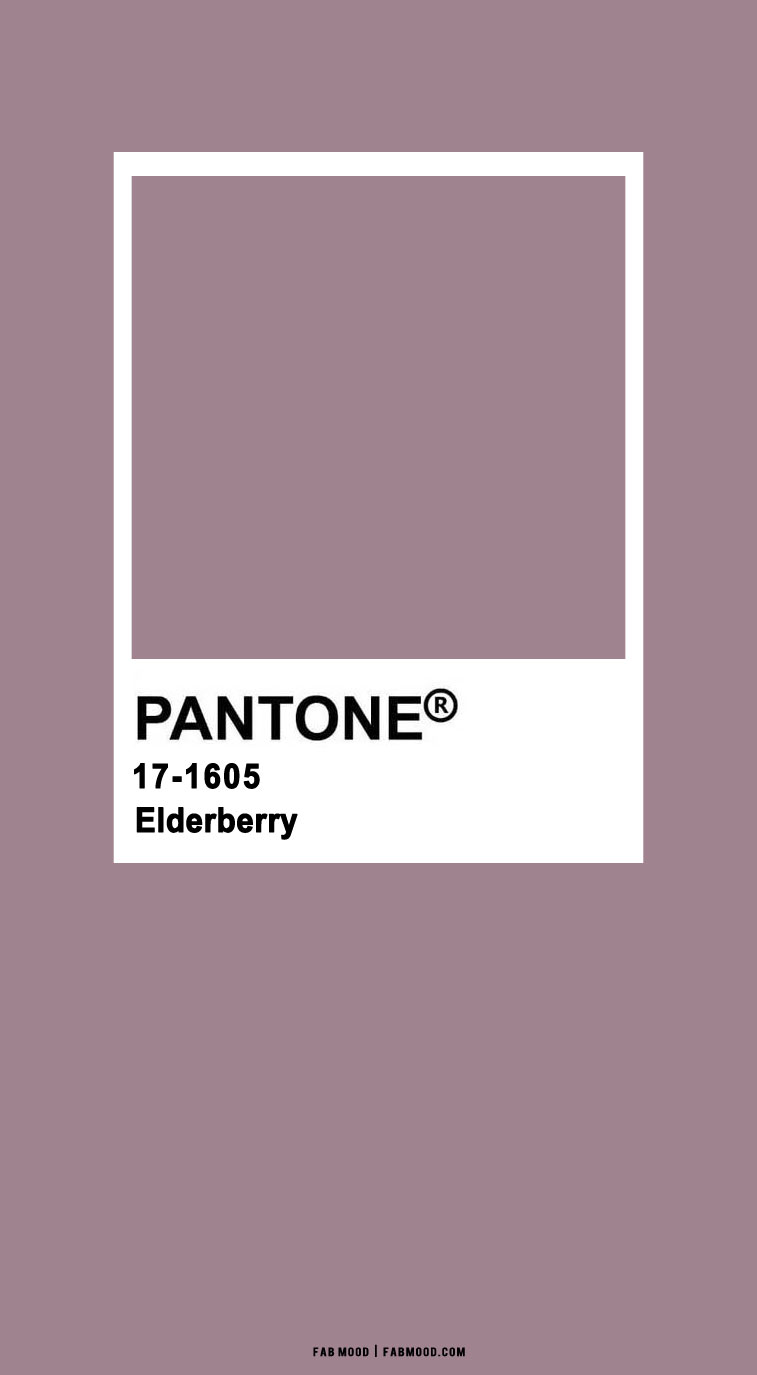 elderberry pantone, mauve berry wallpaper, blush pantone wallpaper, pantone color of the year 2022, wallpaper color images, iphone wallpaper photo, pantone wallpaper images