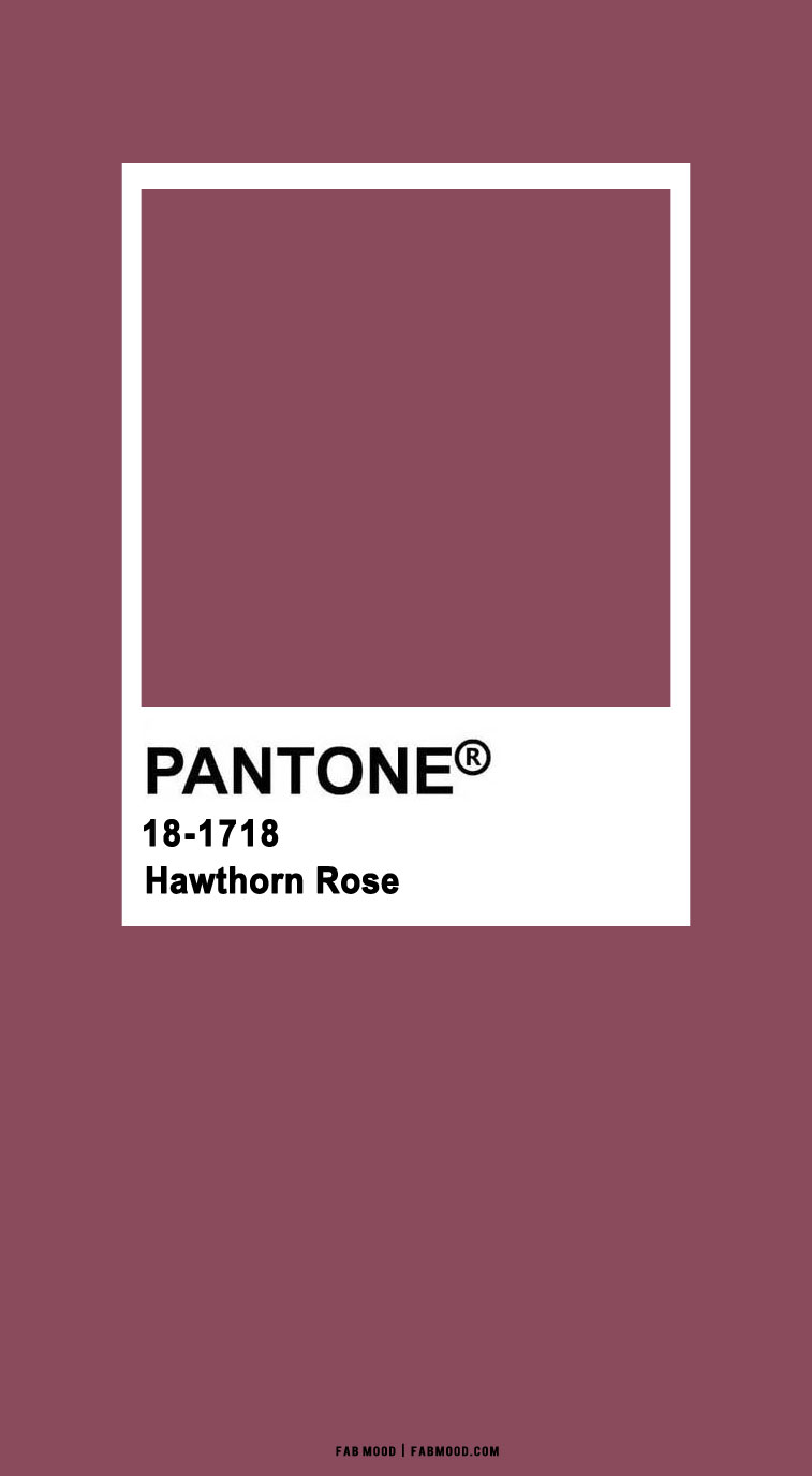 hawthorn rose pantone, berry wallpaper, berry tone pantone wallpaper, pantone color of the year 2022, wallpaper color images