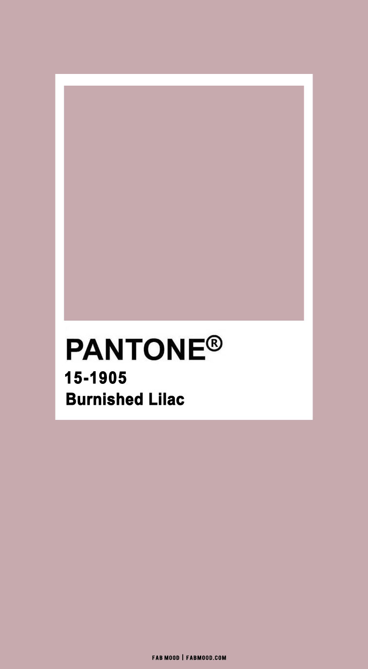 burnished lilac pantone, lilac wallpaper, brown  pantone wallpaper, pantone color of the year 2022, wallpaper color images, iphone wallpaper photo, pantone wallpaper images