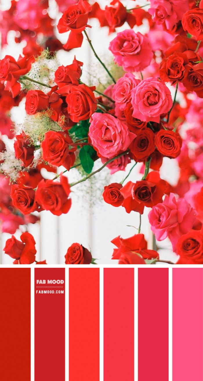 pink and red color scheme, color palettes 2022, best color schemes 2022, pink and red color palette, color combination ideas, summer color scheme, best color combos 2022