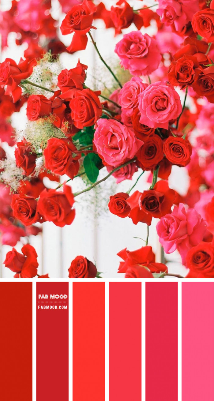 loop metodologi polet Pink and Red Colour Scheme – Colour Palette 161 1 - Fab Mood | Wedding  Colours, Wedding Themes, Wedding colour palettes