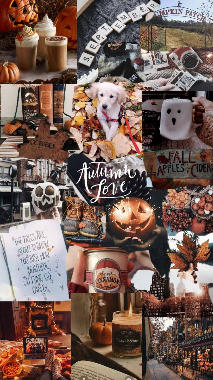 20 Autumn Collage Wallpapers : Fall Love
