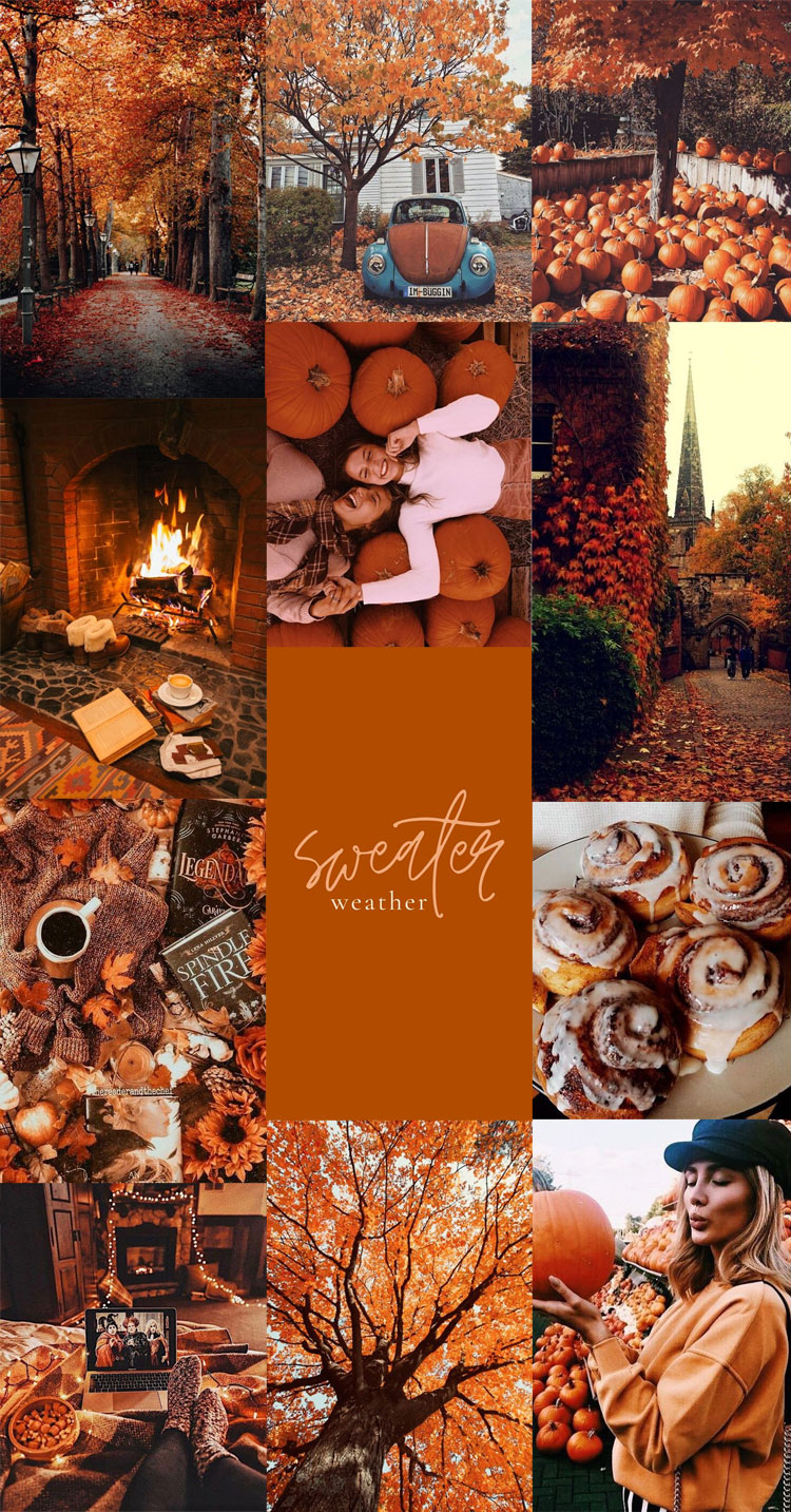 autumn collage, autumn aesthetic, autumn collage wallpapers 2022, autumn wa...