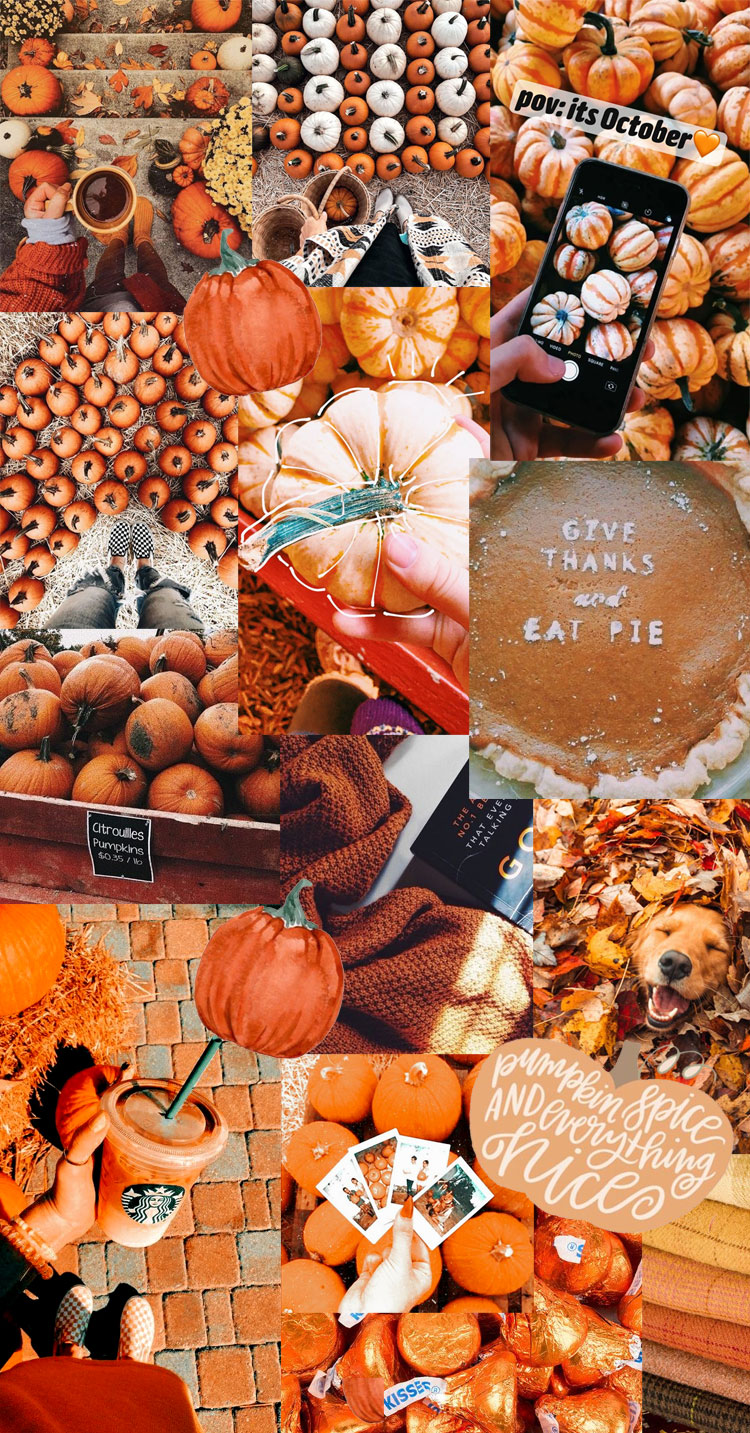 20 Autumn Collage Wallpapers : Everything Spices