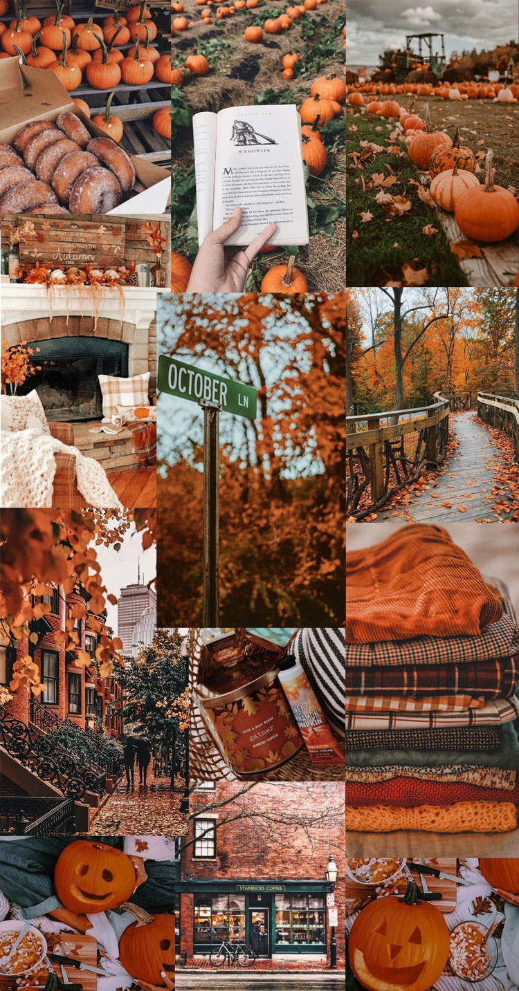 20 Autumn Collage Wallpapers : Autumn in the city