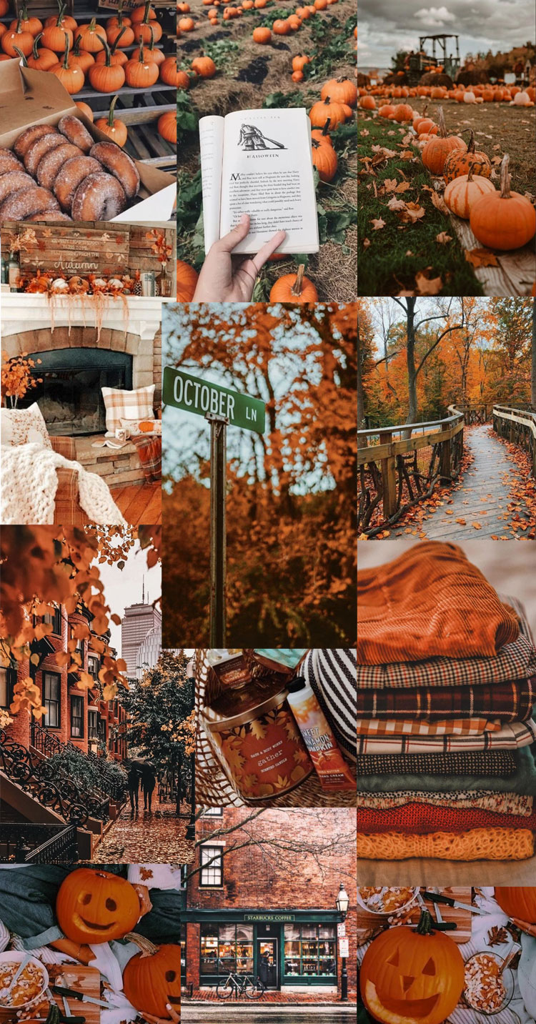 autumn collage, autumn aesthetic, autumn collage wallpapers 2022, autumn wallpapers, fall collages, fall collage wallpapers, autumn wallpaper iphone, autumn collage wallpaper