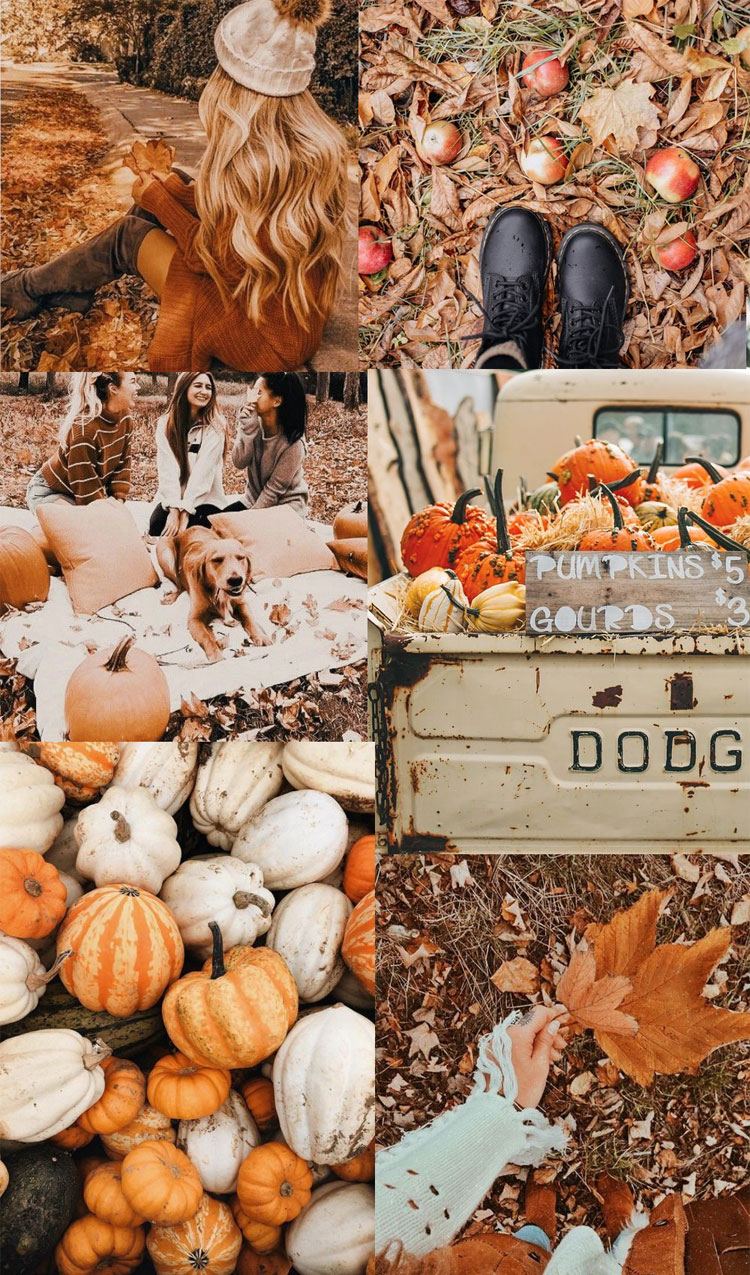 20 Autumn Collage Wallpapers : Autumn Brown