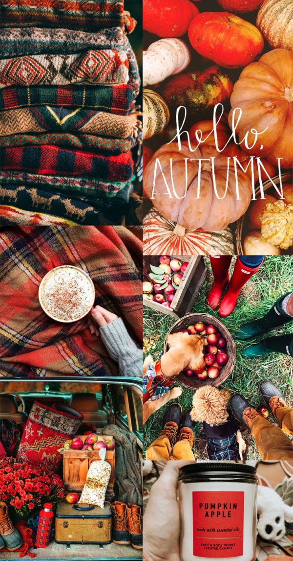 20 Autumn Collage Wallpapers : Red Apple Autumn 1 - Fab Mood | Wedding ...