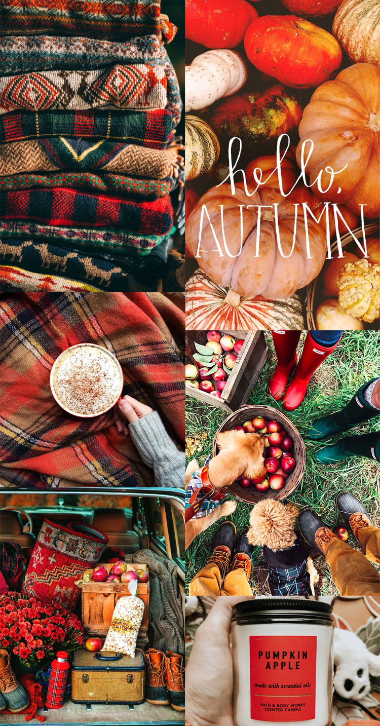 20 Autumn Collage Wallpapers : Red Apple Autumn