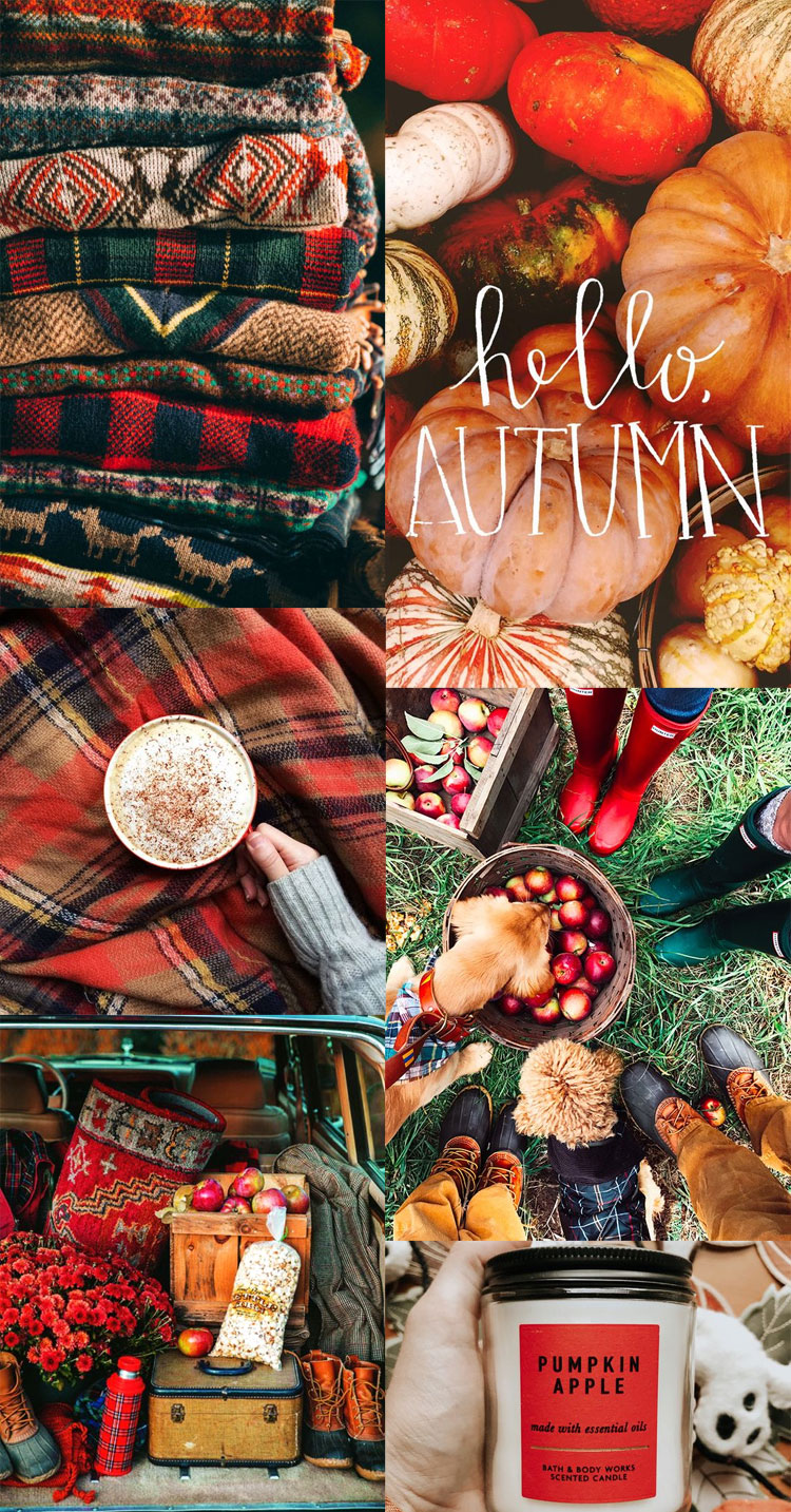 autumn collage, autumn aesthetic, autumn collage wallpapers 2022, autumn wallpapers, fall collages, fall collage wallpapers, autumn wallpaper iphone, autumn collage wallpaper