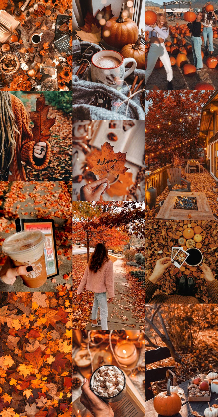 20 Autumn Collage Wallpapers : Cozy Autumn Pumpkin