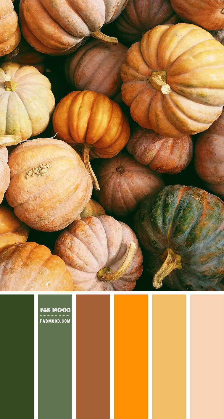 pumpkin color palette, color of pumpkin, color palette, autumn color scheme