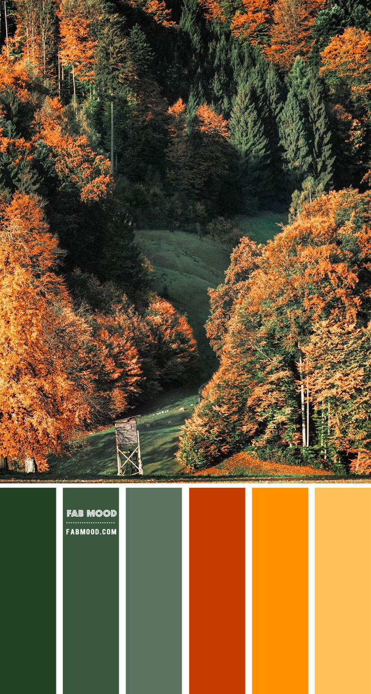 fall color palette, autumn color scheme, autumn color scheme, autumn color combo, color combo, color combos 6