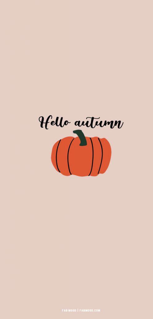 20 Cute Autumn Wallpaper Ideas : Pumpkin Hello Autumn 1 - Fab Mood ...